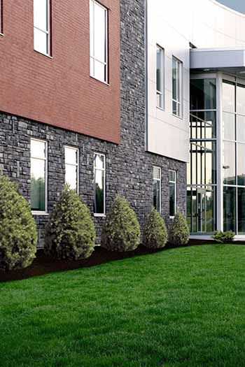 Manufacture Thin Stone Veneer by ProVia - California Stone