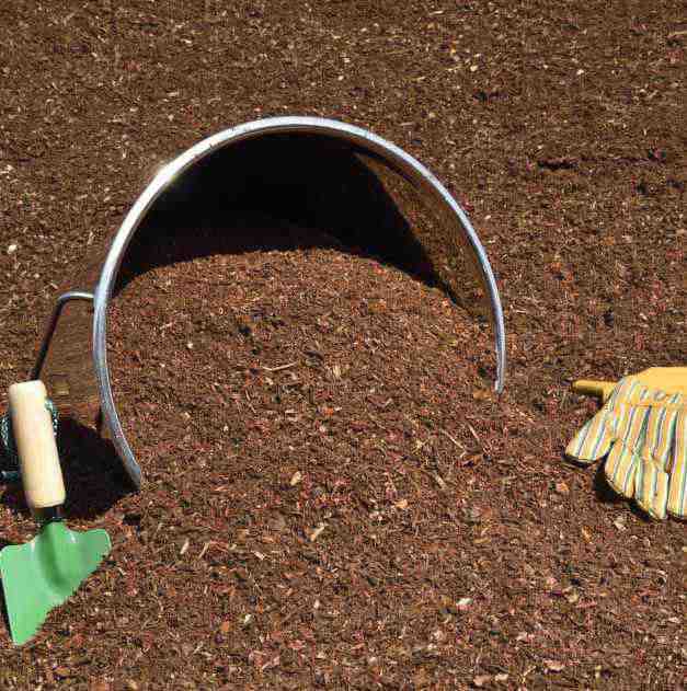 Ground Cover - Bright Medium Fir