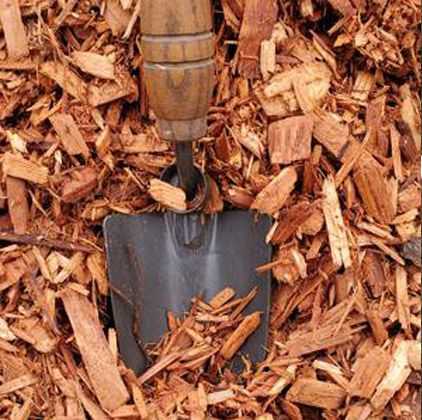 Ground Cover - cedar wood chips - Vanvouver Washington Stone