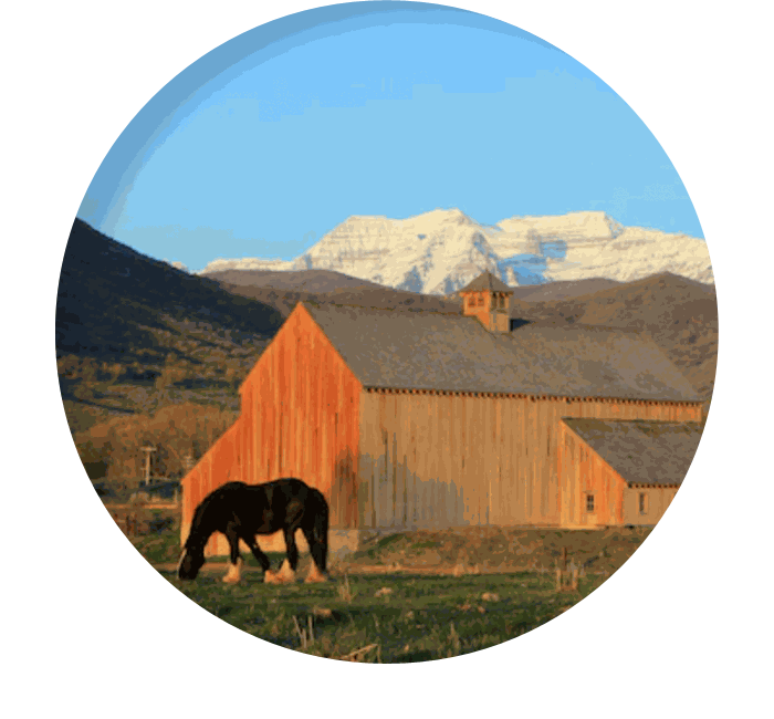Odoo - Sample 3 for three columns