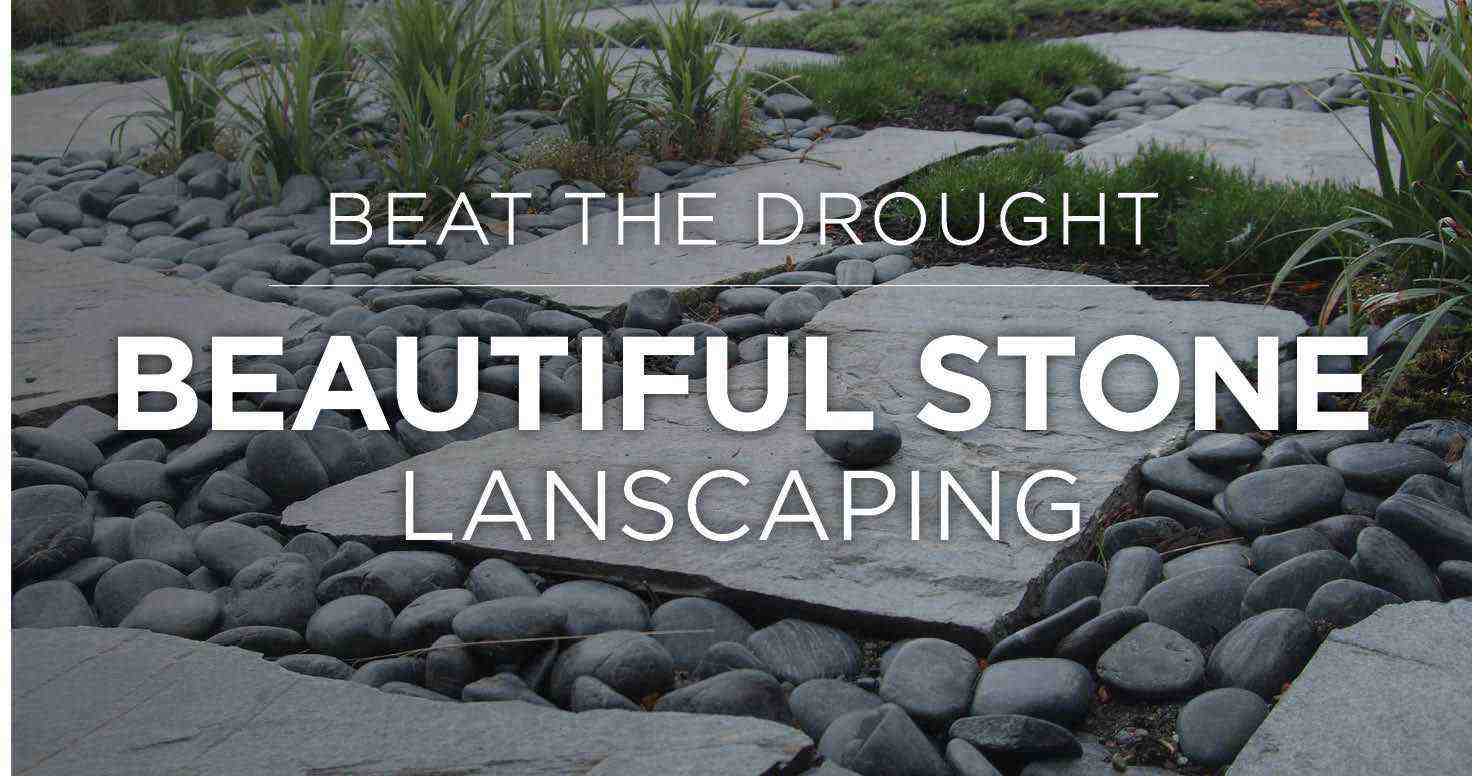 garden landscape with less water and time - xeriscape
