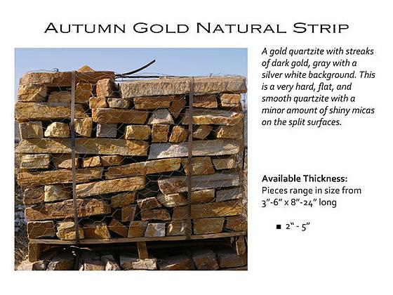 Autumn Gold Natural Strip
