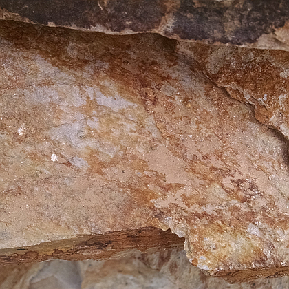 Autumn Gold 4-6" Steps